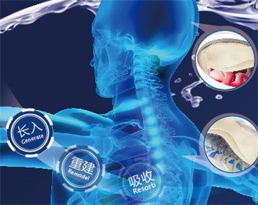 �����W(w��ng)վ���O(sh��)��˾Ȼ�t��(chu��ng)���O(sh��)Ӌ(j��)�C(j��)��(g��u)