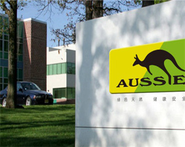 �����W(w��ng)վ���O(sh��)��˾�����ֵ��O(sh��)Ӌ(j��)���F(tu��n)